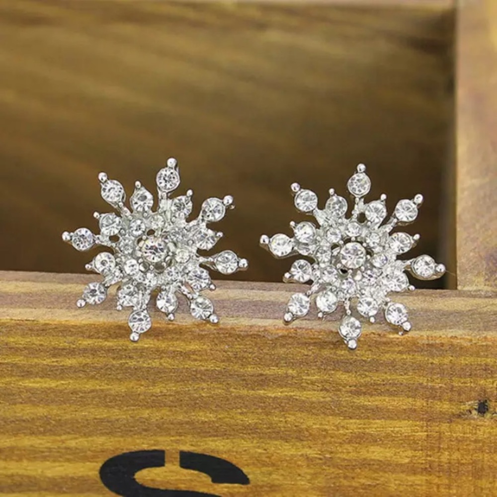 New Snowflake ❄️ Beautiful Earrings